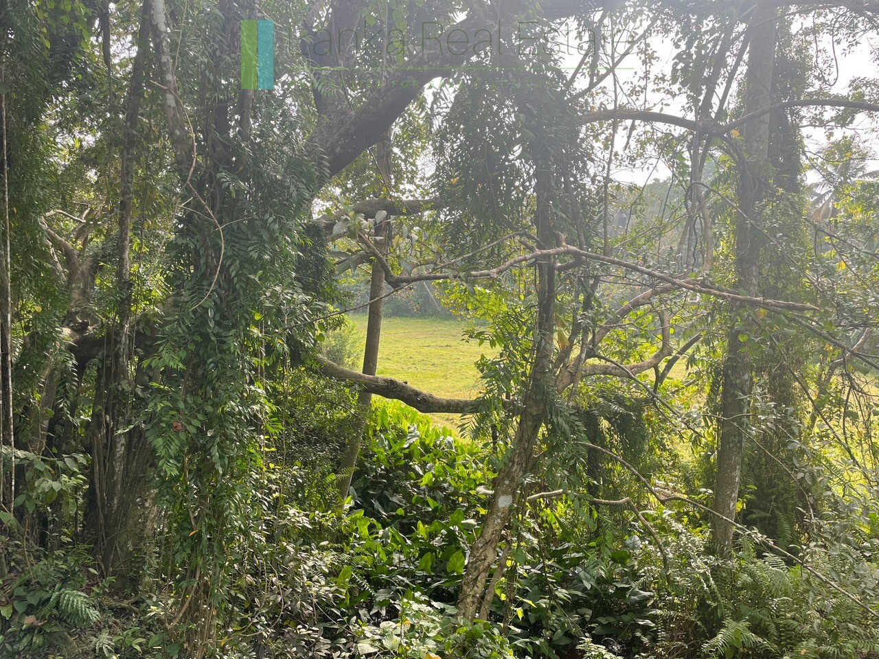 Ten acres with ocean views near Talpe beach