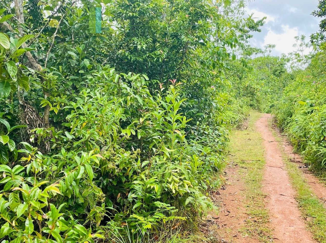 Large lofty plot with far-reaching views in Habaraduwa