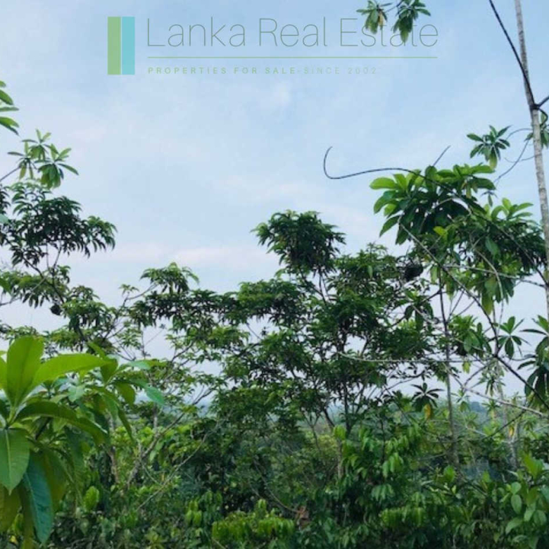 Large lofty plot with far-reaching views in Habaraduwa