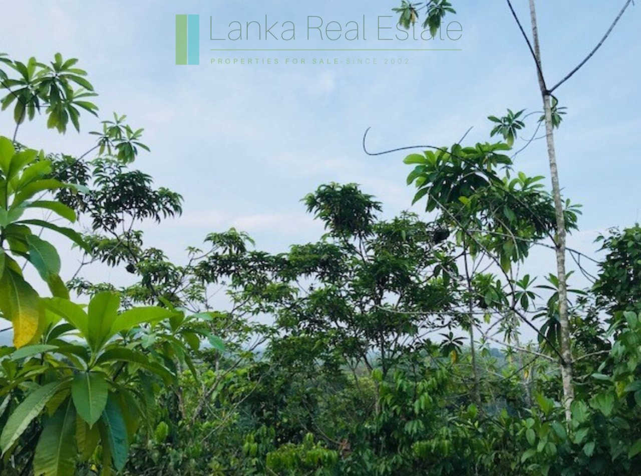 Large lofty plot with far-reaching views in Habaraduwa
