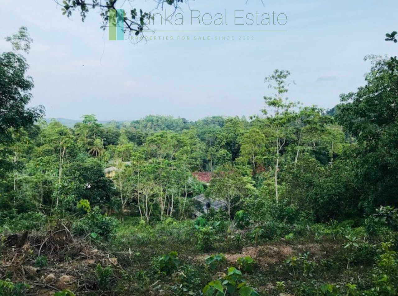 Large lofty plot with far-reaching views in Habaraduwa