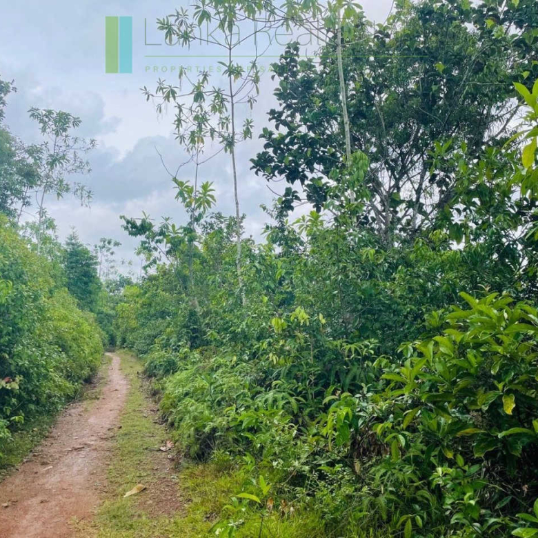 Large lofty plot with far-reaching views in Habaraduwa