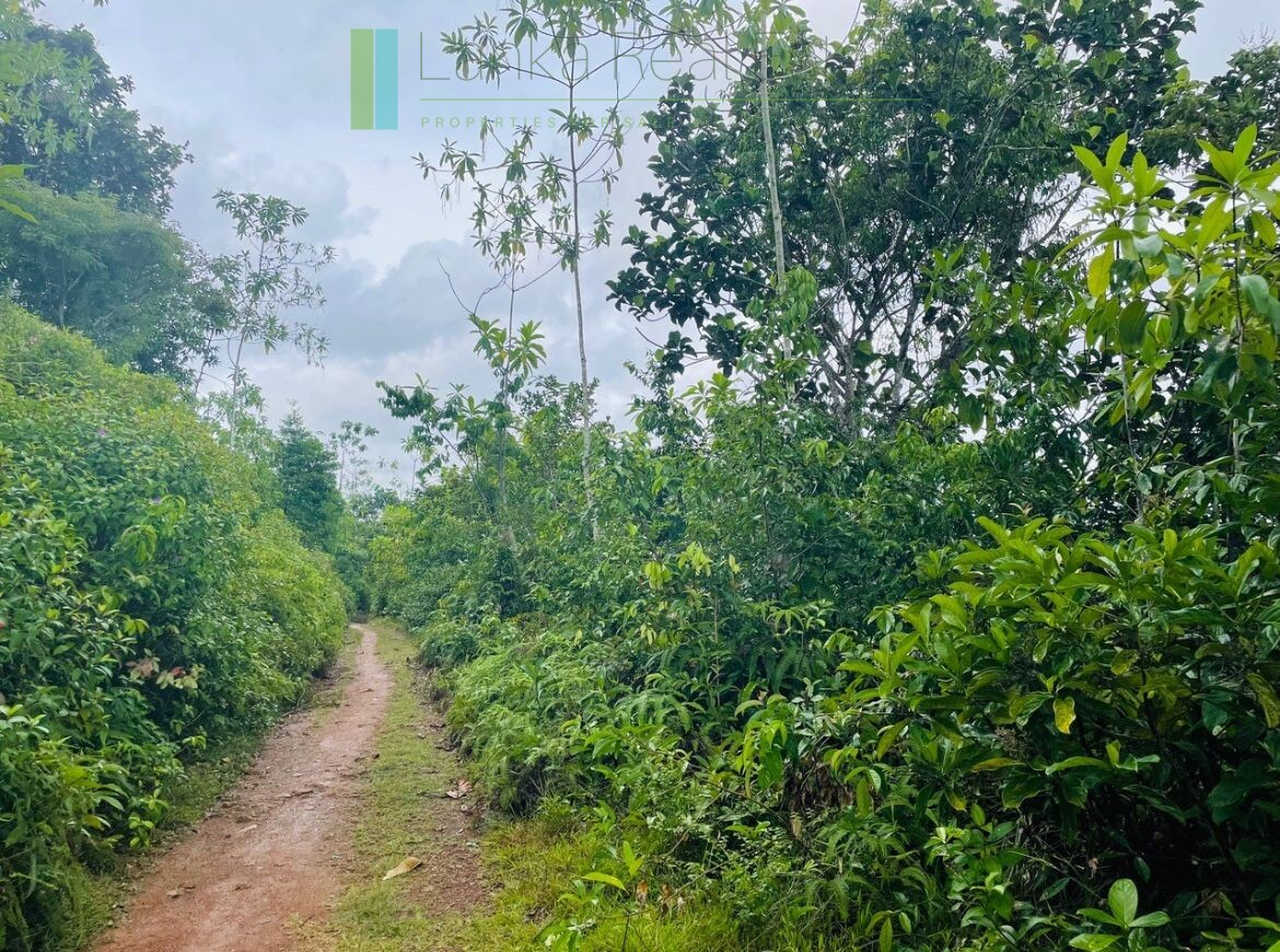 Large lofty plot with far-reaching views in Habaraduwa