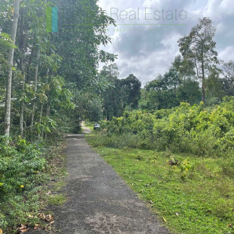 Large lofty plot with far-reaching views in Habaraduwa