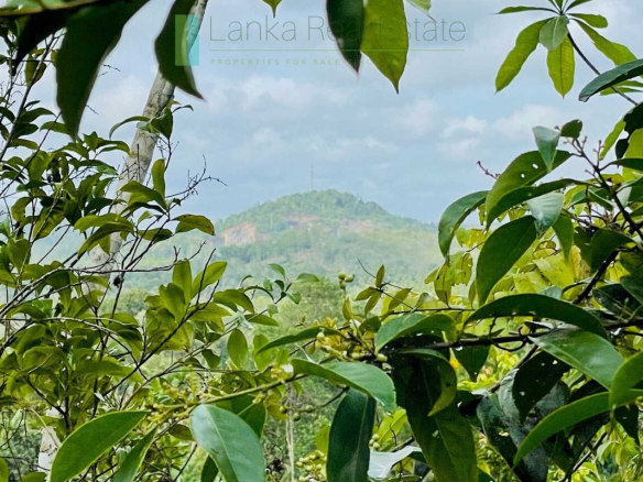 Large lofty plot with far-reaching views in Habaraduwa