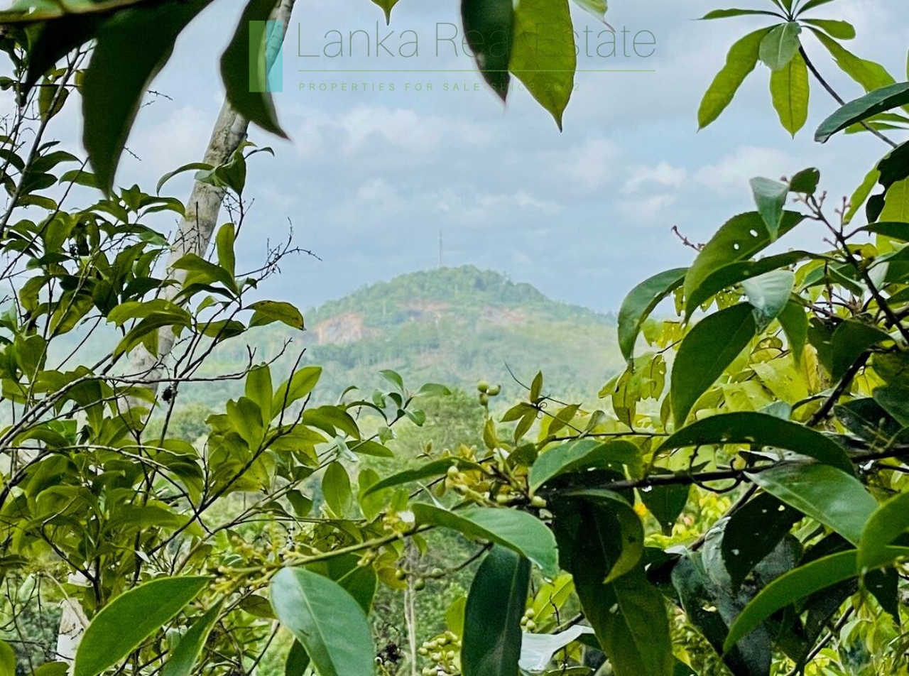 Large lofty plot with far-reaching views in Habaraduwa