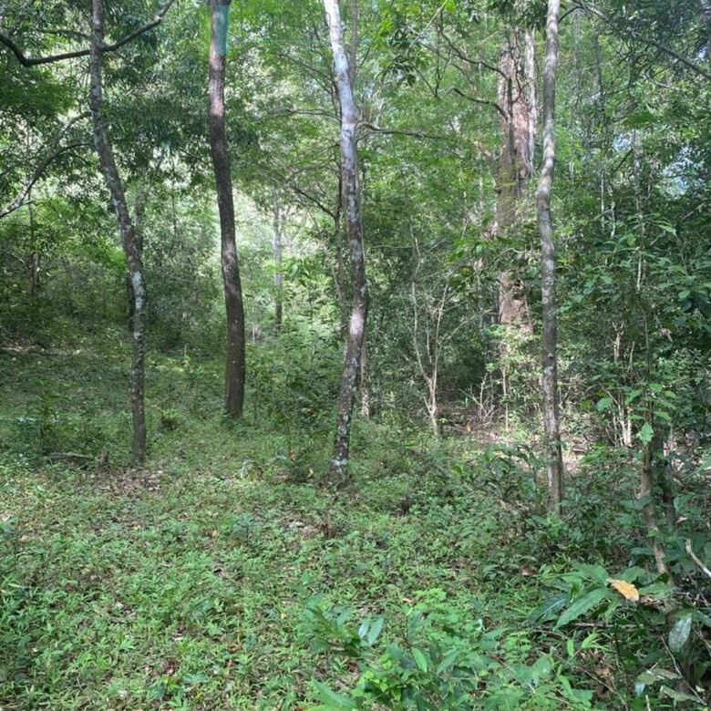 500 acres of untouched hill country land