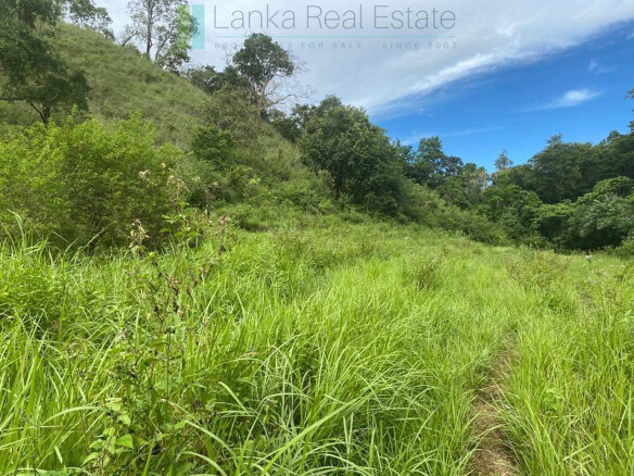 500 acres of untouched hill country land