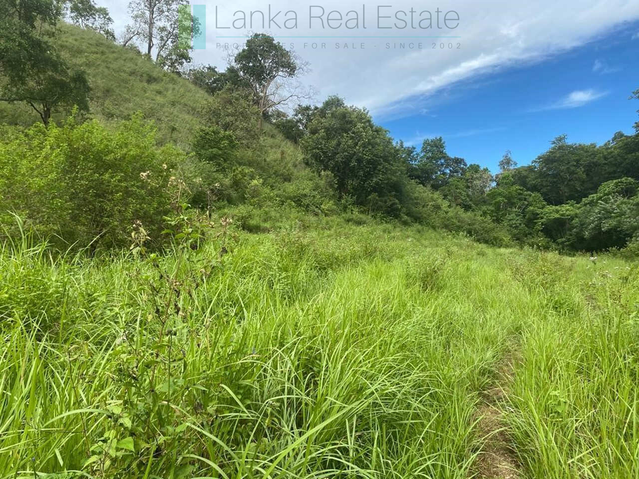 500 acres of untouched hill country land