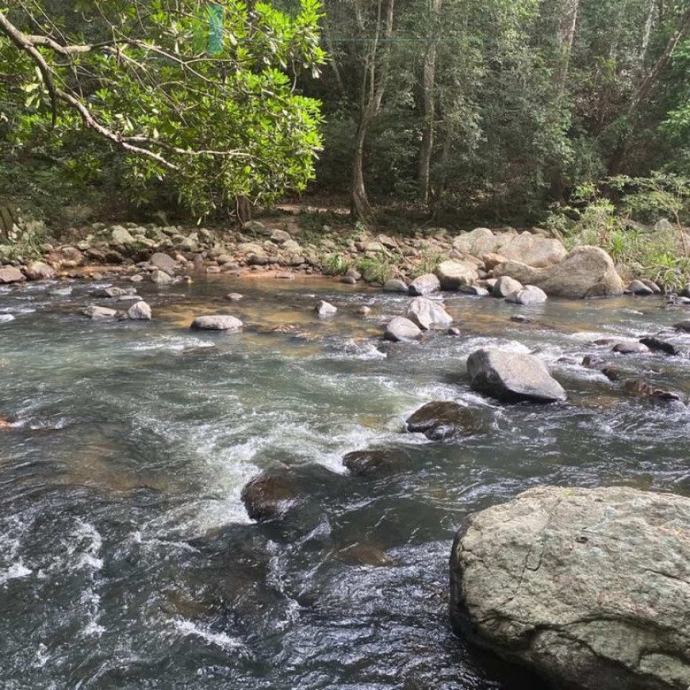 500 acres of untouched hill country land
