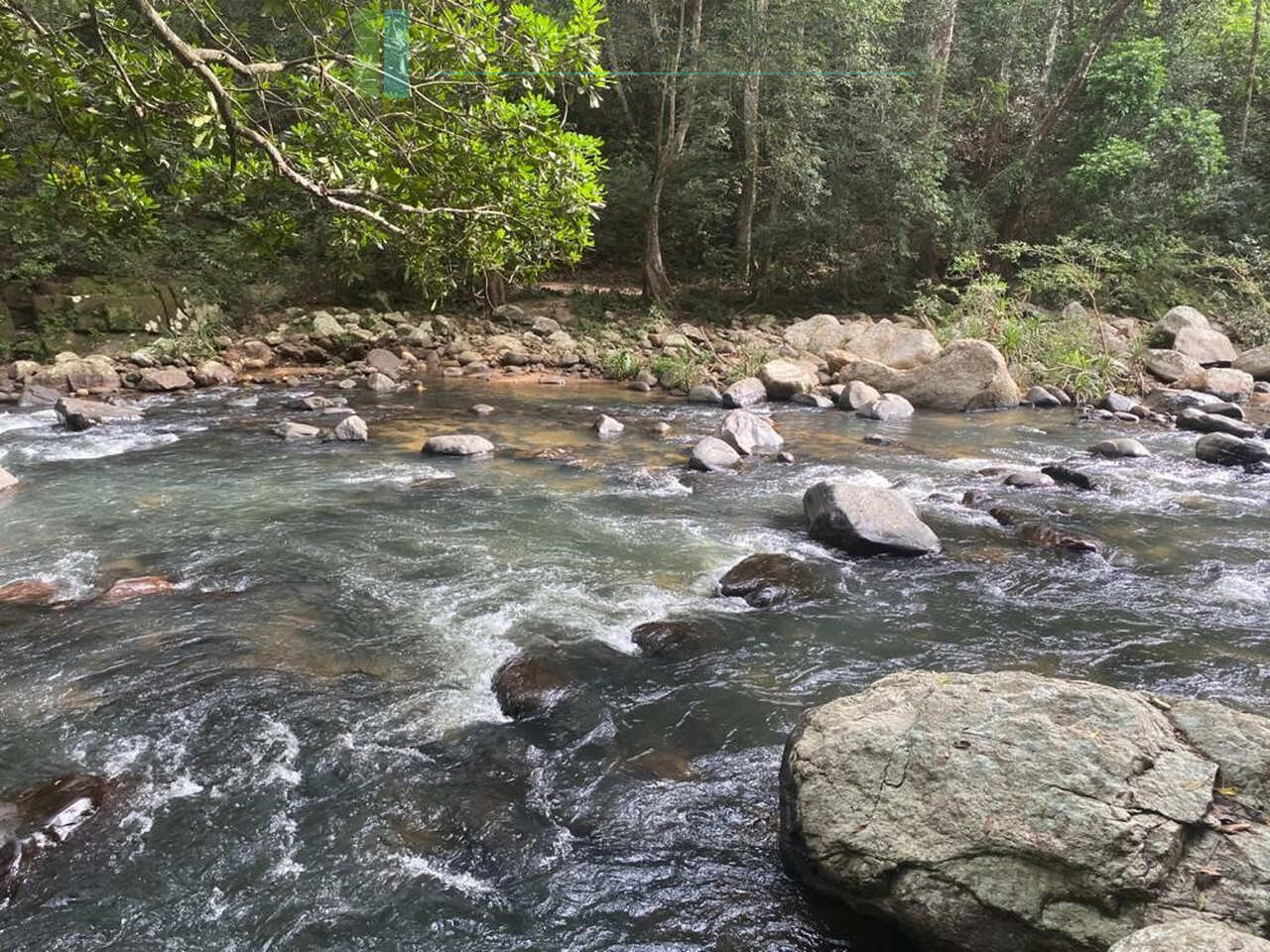 500 acres of untouched hill country land