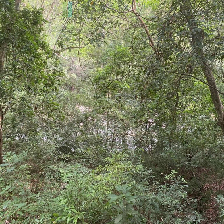 500 acres of untouched hill country land