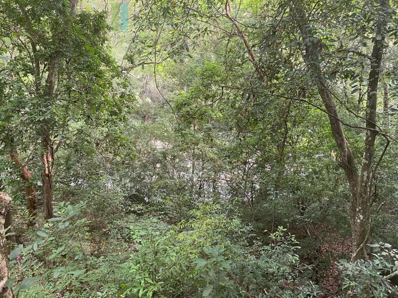 500 acres of untouched hill country land