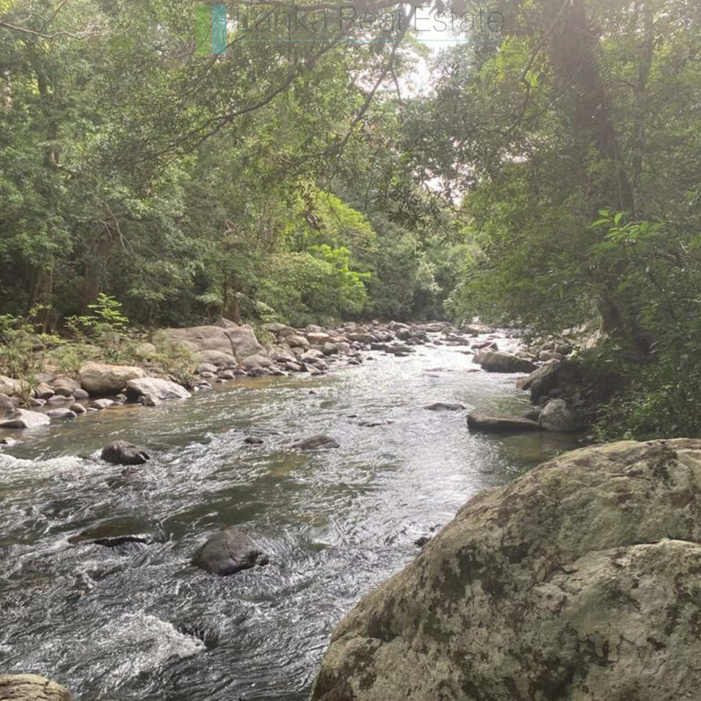 500 acres of untouched hill country land