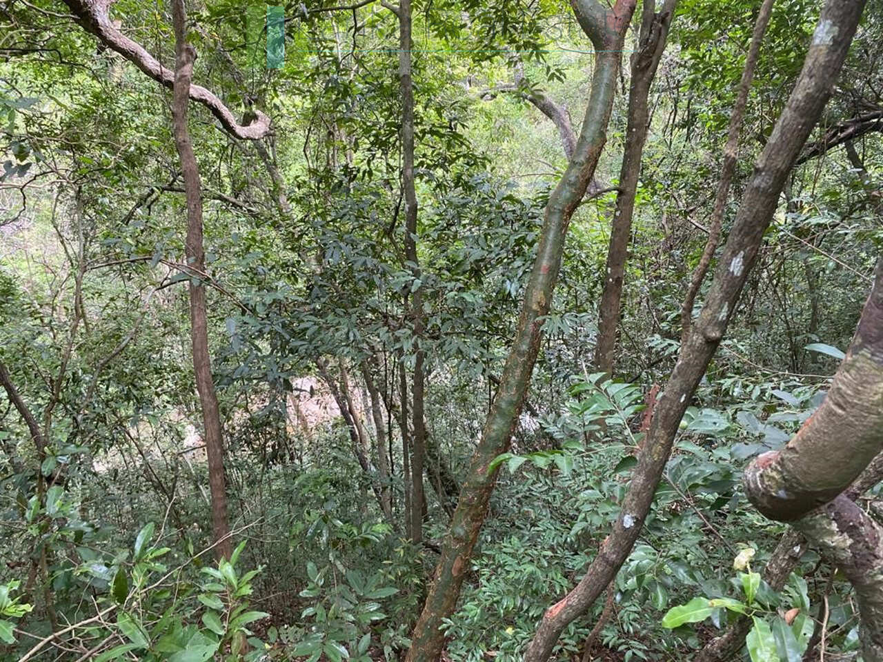 500 acres of untouched hill country land