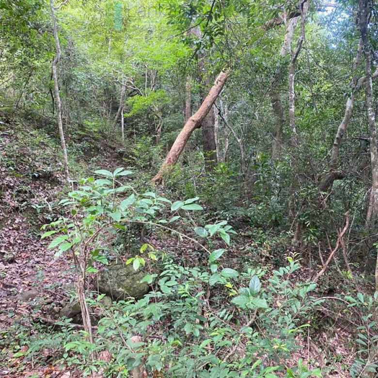 500 acres of untouched hill country land