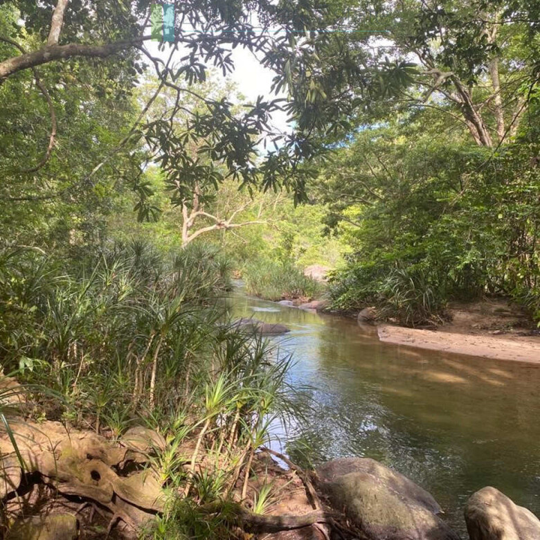 500 acres of untouched hill country land