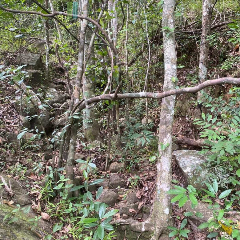 500 acres of untouched hill country land