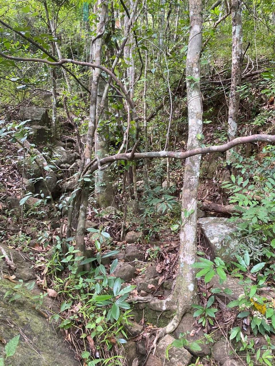500 acres of untouched hill country land