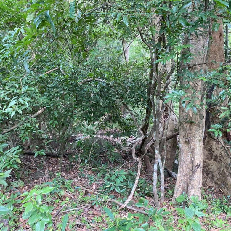 500 acres of untouched hill country land