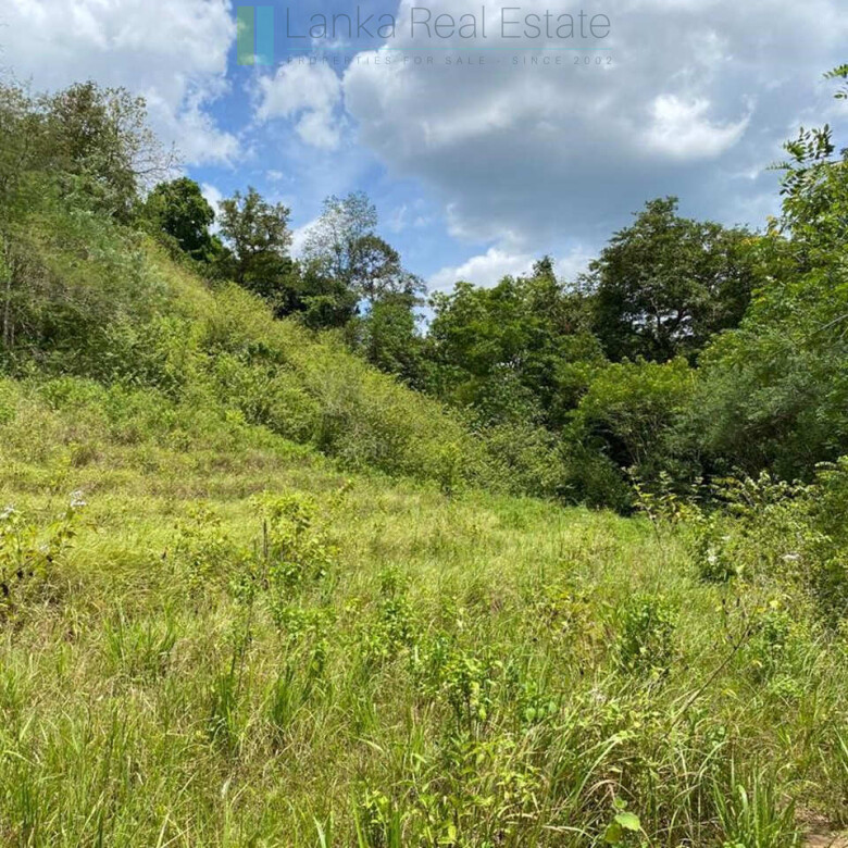 500 acres of untouched hill country land