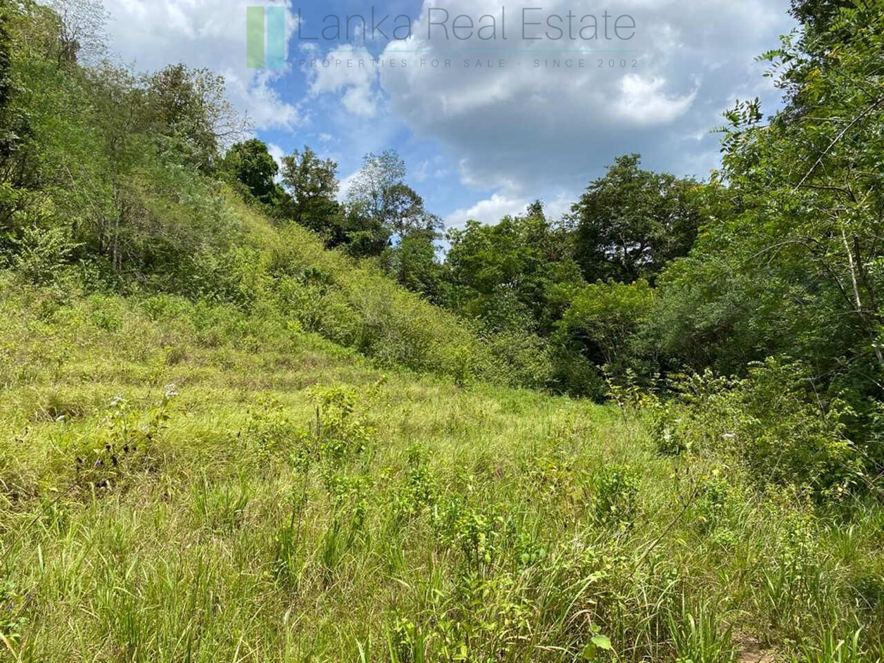 500 acres of untouched hill country land