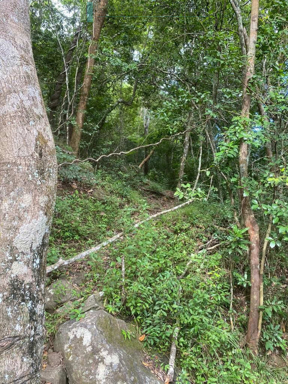 500 acres of untouched hill country land