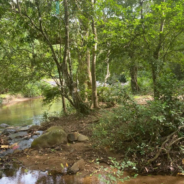 500 acres of untouched hill country land
