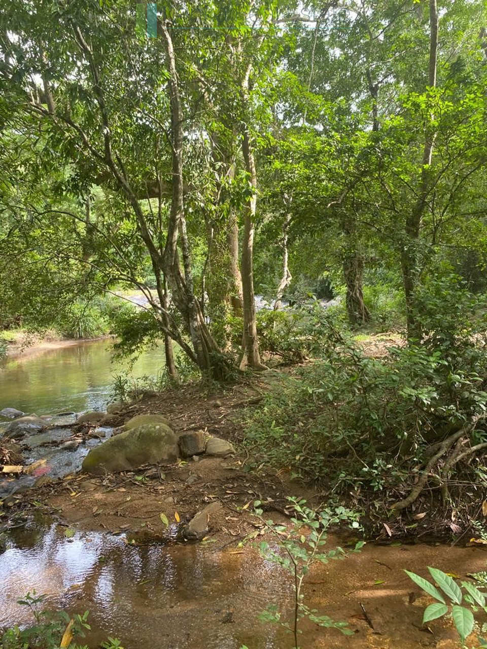 500 acres of untouched hill country land