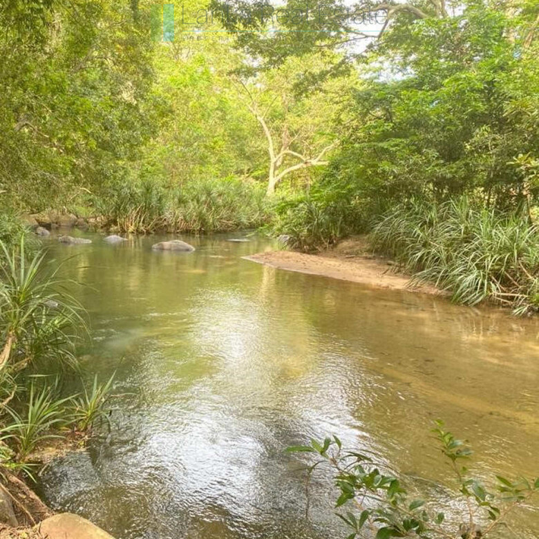 500 acres of untouched hill country land