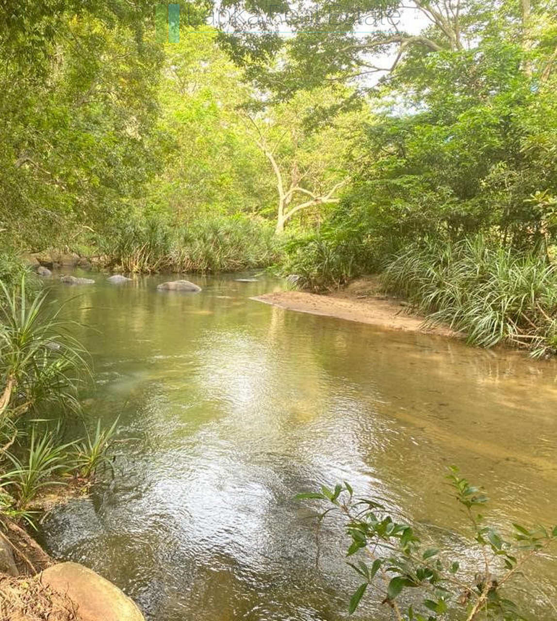 500 acres of untouched hill country land