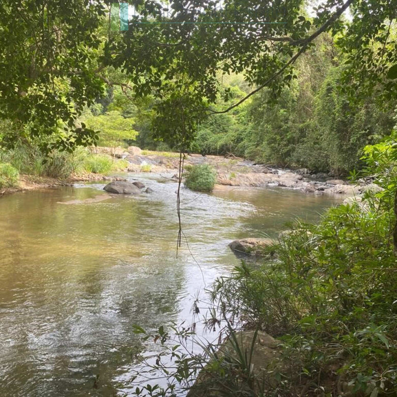 500 acres of untouched hill country land