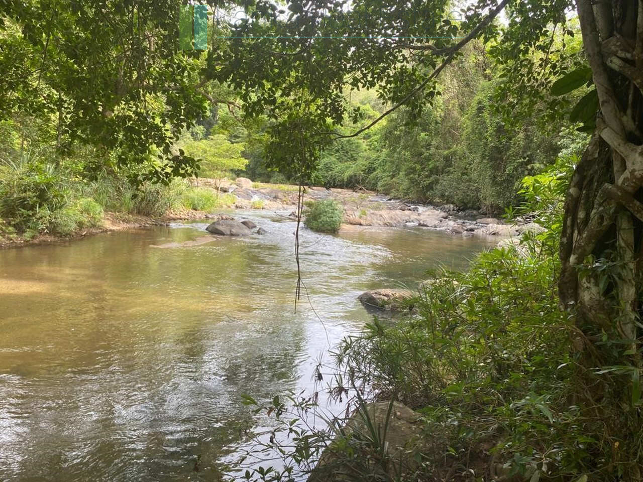 500 acres of untouched hill country land