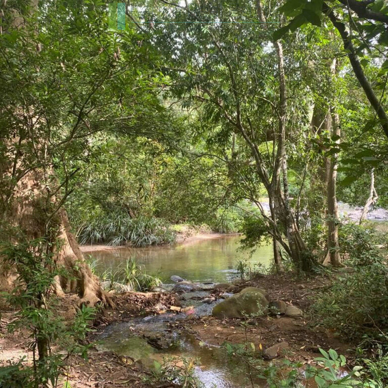 500 acres of untouched hill country land