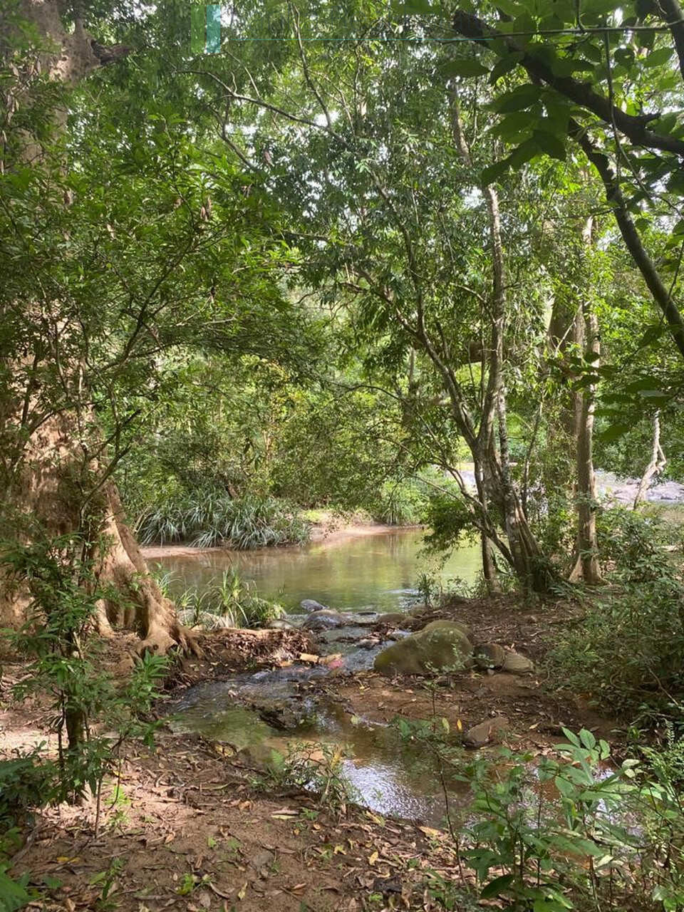 500 acres of untouched hill country land