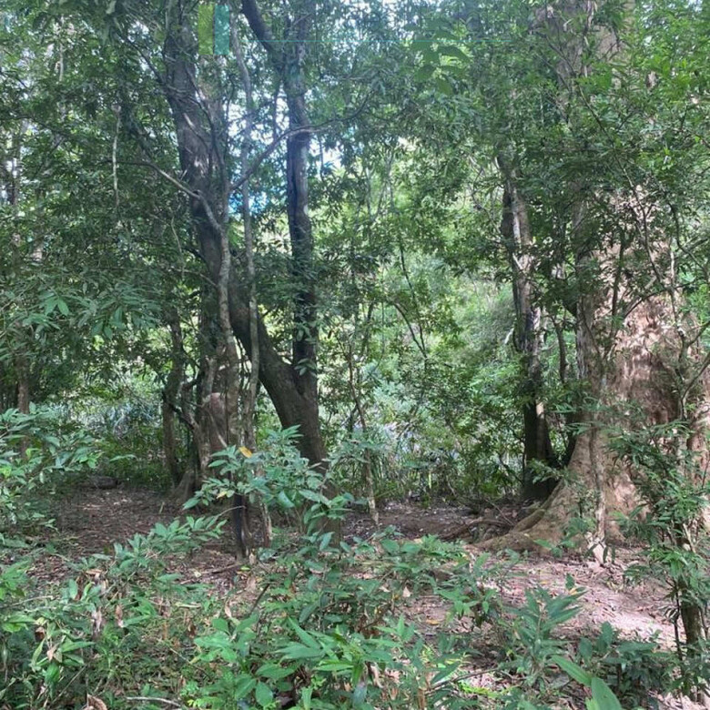 500 acres of untouched hill country land