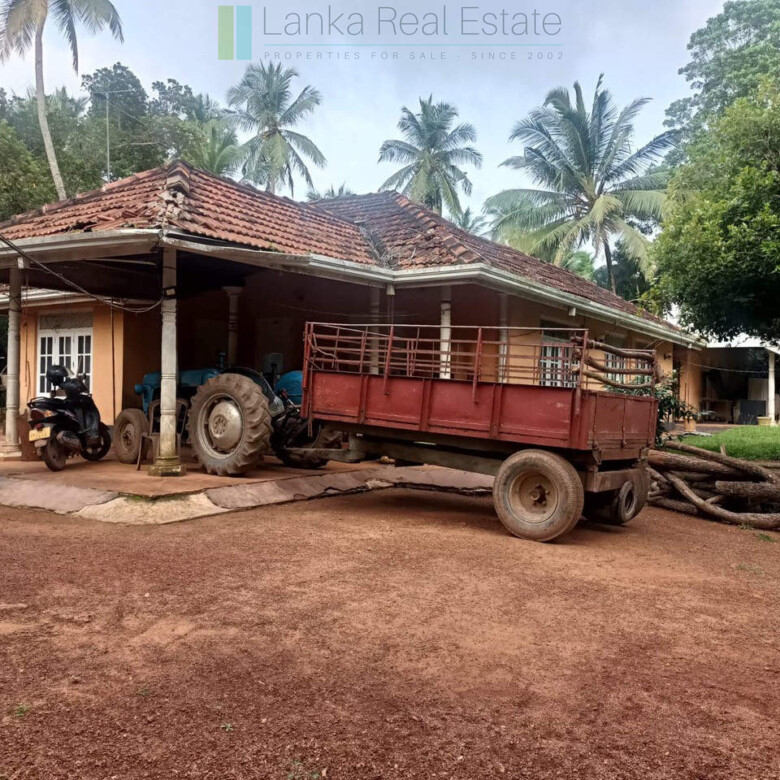 Huge plot with potential in the Negombo area