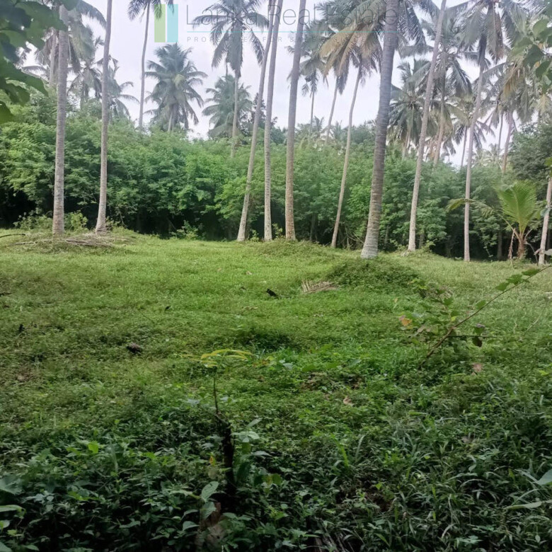 Huge plot with potential in the Negombo area