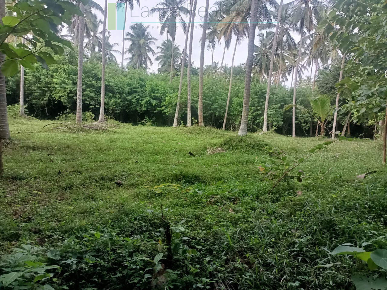 Huge plot with potential in the Negombo area