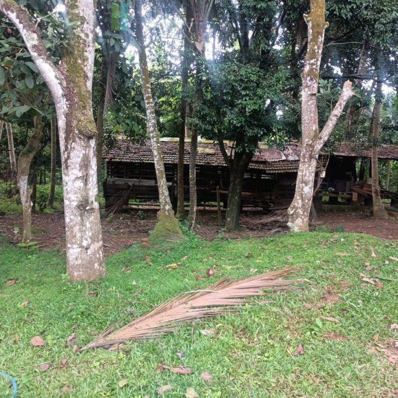 Huge plot with potential in the Negombo area