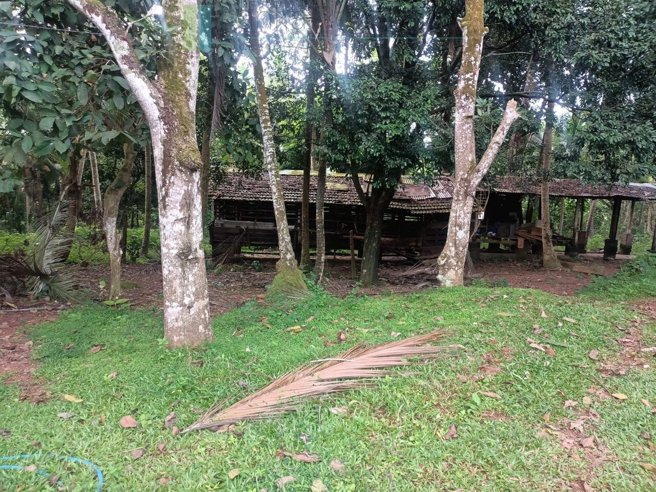 Huge plot with potential in the Negombo area