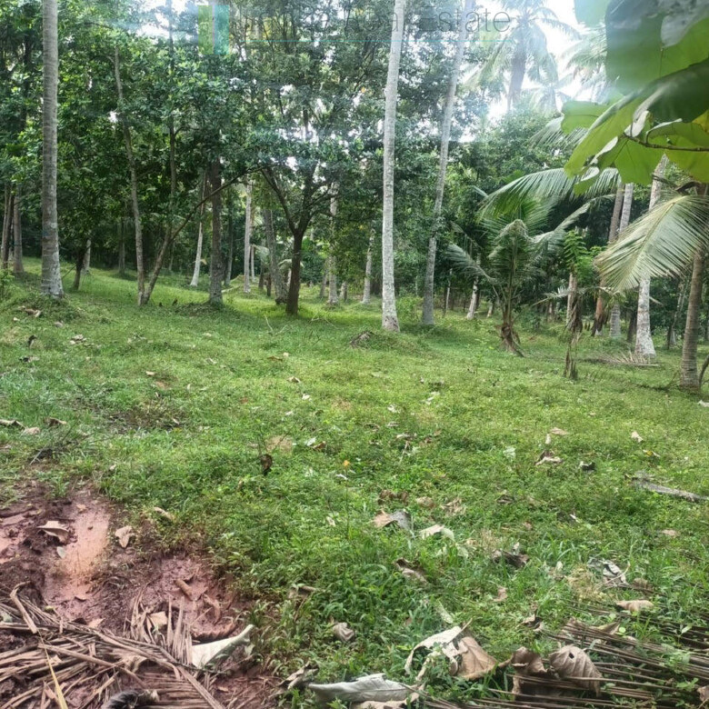 Huge plot with potential in the Negombo area