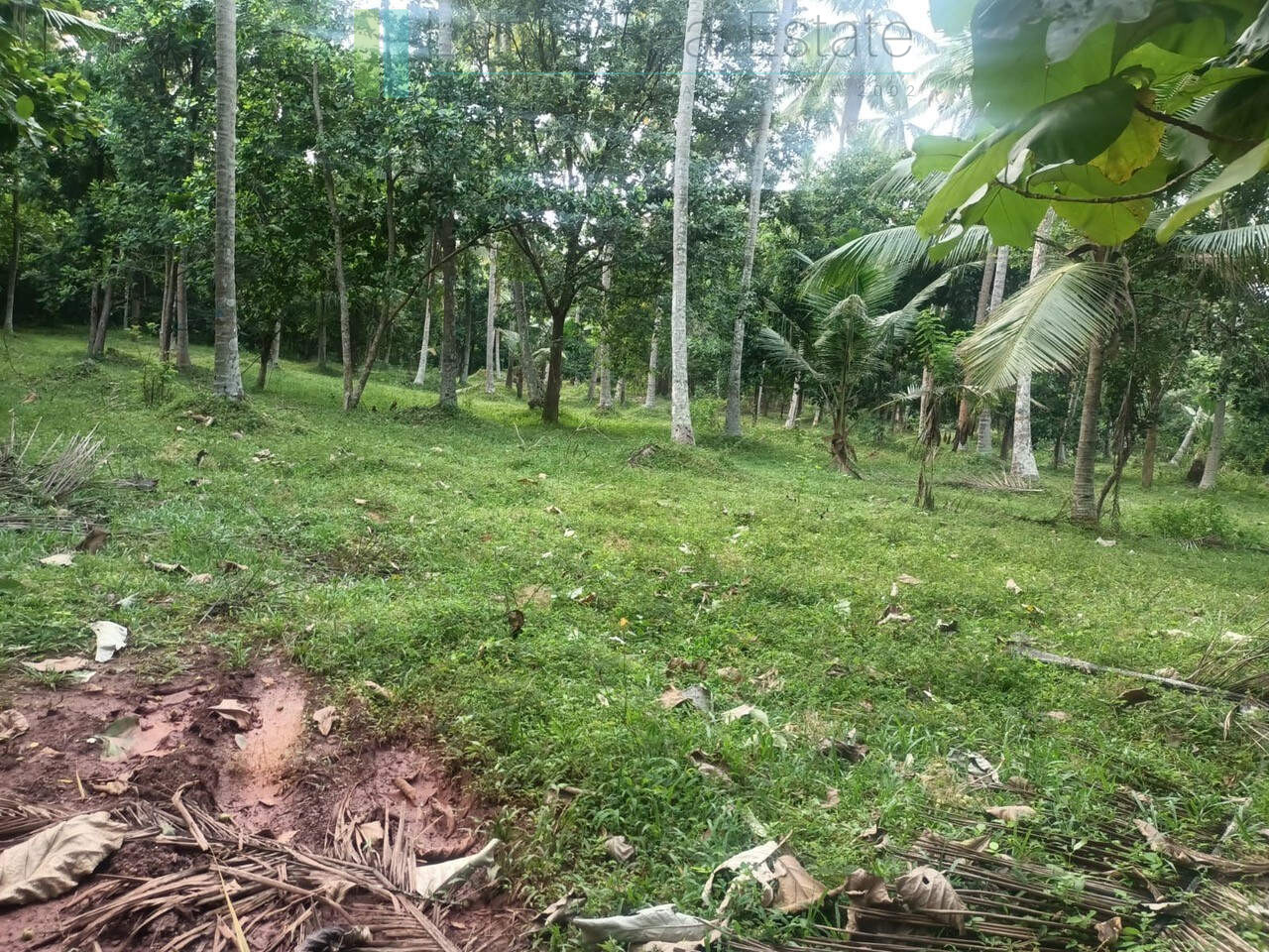 Huge plot with potential in the Negombo area