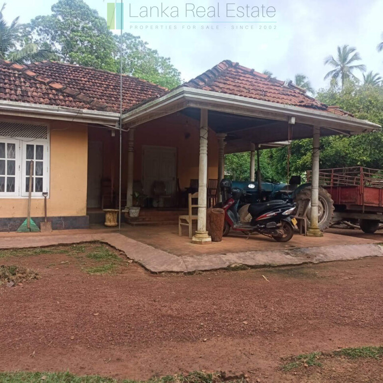 Huge plot with potential in the Negombo area