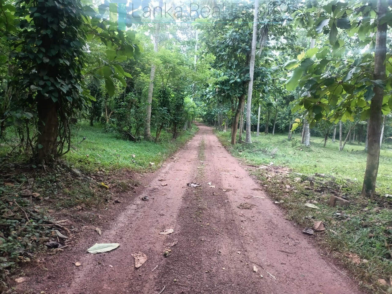 Huge plot with potential in the Negombo area