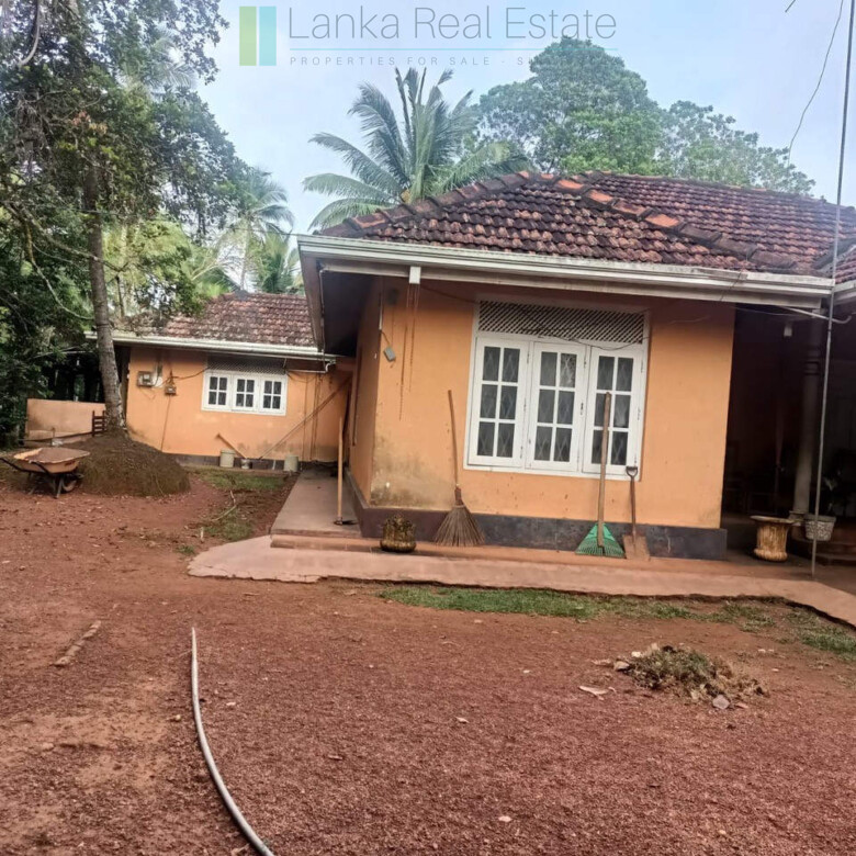 Huge plot with potential in the Negombo area