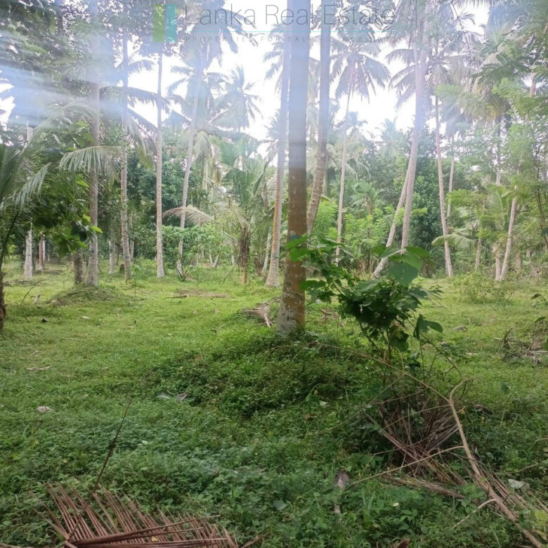 Huge plot with potential in the Negombo area