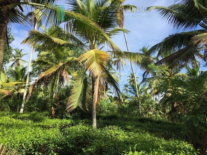 An acre of gently sloping land in Ahangama