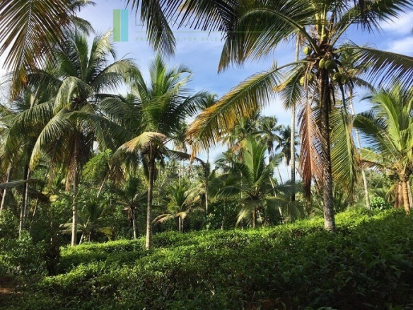 An acre of gently sloping land in Ahangama