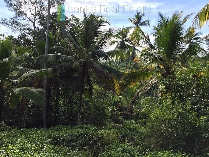 An acre of gently sloping land in Ahangama